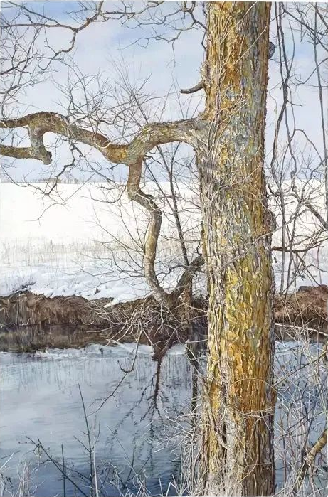 美国女画家玛丽.玛格丽特的写实水彩作品