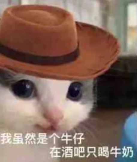 猫猫头