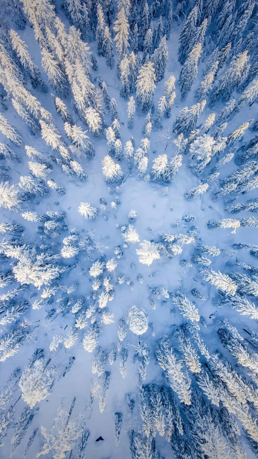 细雪纷飞，曼妙纯洁的雪花，让这个冬天变得如梦如幻。©视觉中国