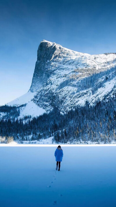 我向雪山而行