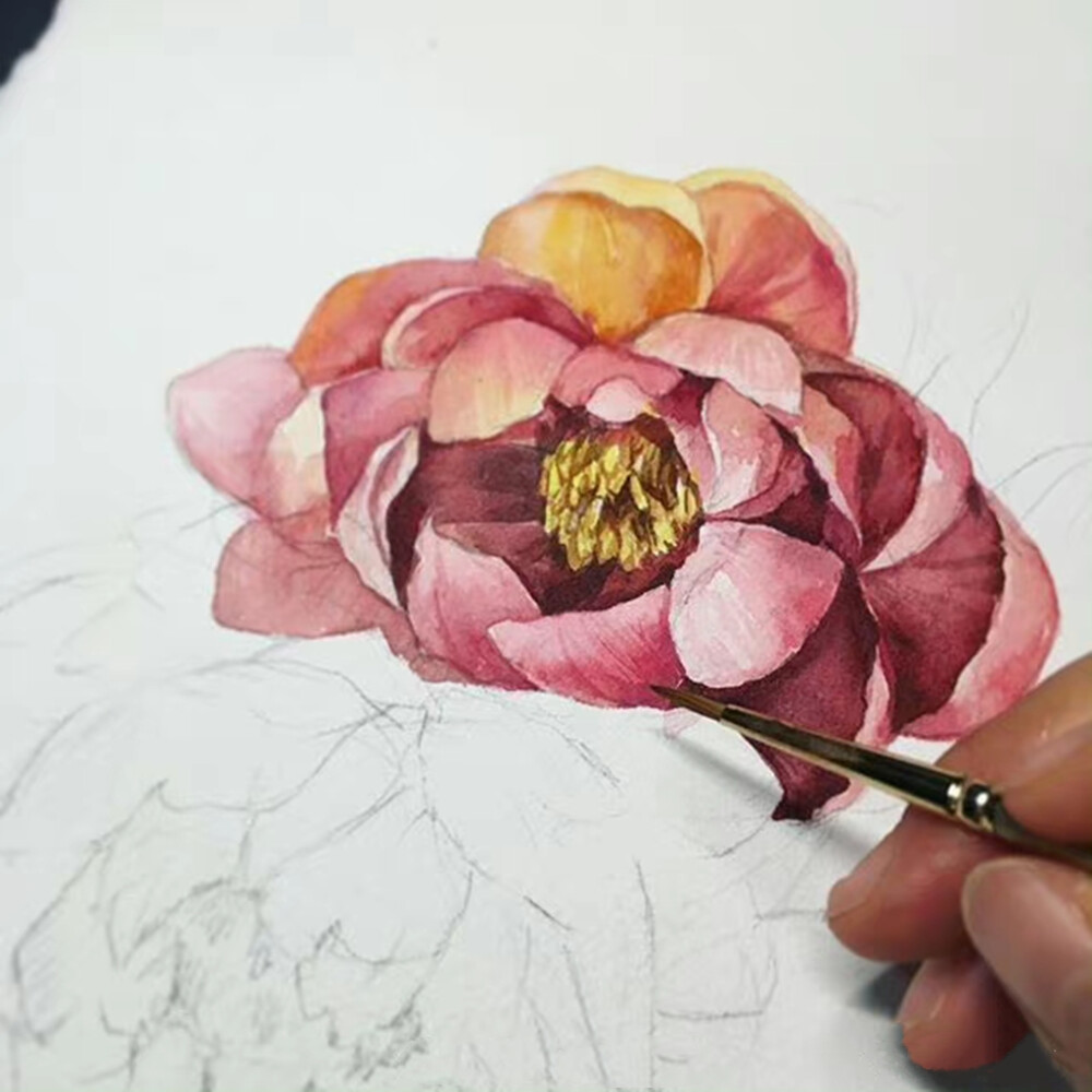 植物绘，插画师yongsam_artclass ​