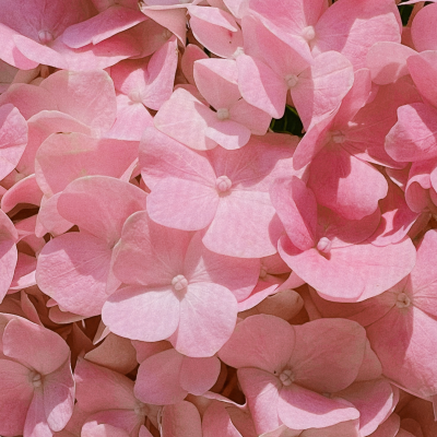 分享欲快要消耗完啦