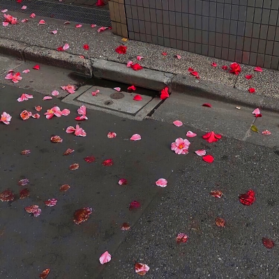 分享欲快要消耗完啦