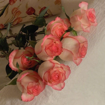 分享欲快要消耗完啦