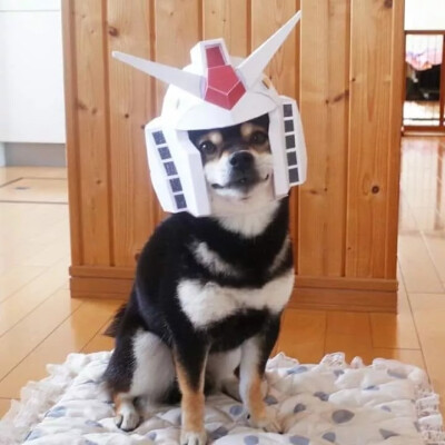 图源网络，侵删