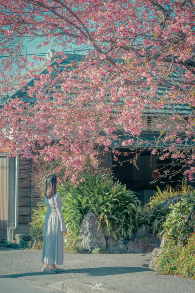 每一个冬天的句点都是春暖花开
摄影师：骏飞同学