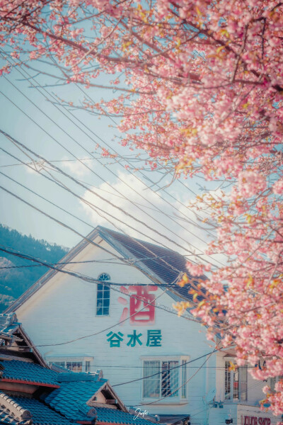 每一个冬天的句点都是春暖花开
摄影师：骏飞同学