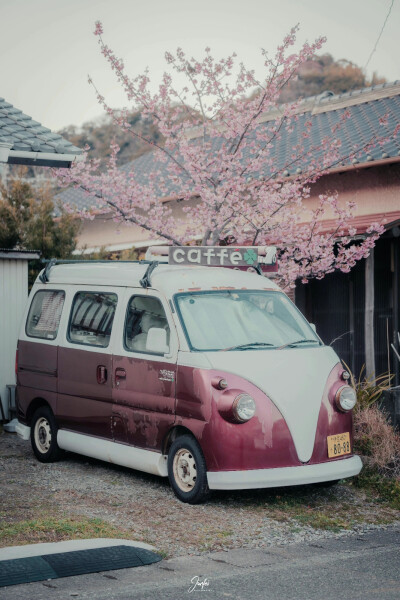 每一个冬天的句点都是春暖花开
摄影师：骏飞同学
