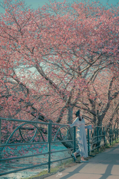 每一个冬天的句点都是春暖花开
摄影师：骏飞同学