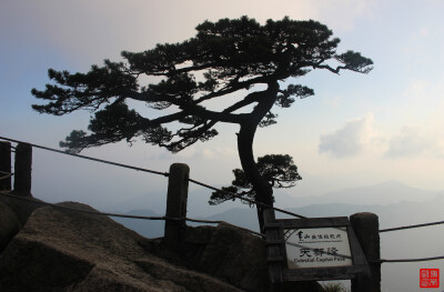 大美黄山 如此多娇
“岱宗夫如何？齐鲁青未了。造化钟神秀，阴阳割昏晓。汤胸生层云，决呲入归鸟。会当凌绝顶，一览众山小。”—诗圣杜甫这首赞美东岳泰山的千古经典诗篇《望岳》同样可以适用于赞美世界自然与文化…