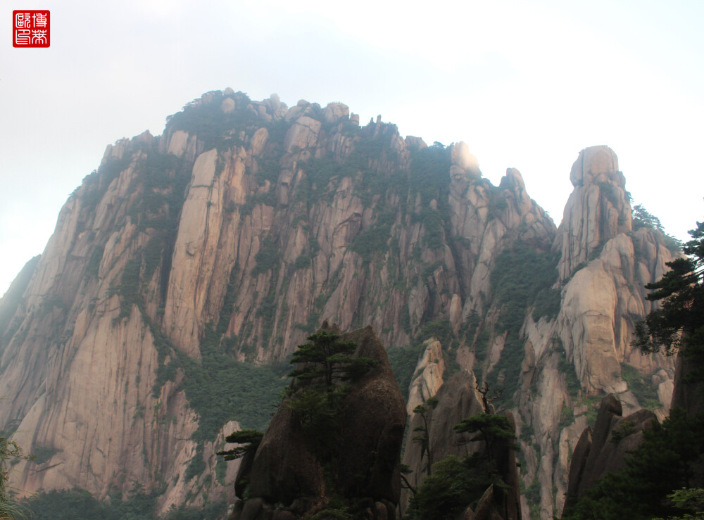 大美黄山 如此多娇
“岱宗夫如何？齐鲁青未了。造化钟神秀，阴阳割昏晓。汤胸生层云，决呲入归鸟。会当凌绝顶，一览众山小。”—诗圣杜甫这首赞美东岳泰山的千古经典诗篇《望岳》同样可以适用于赞美世界自然与文化双遗产的黄山。人言道“泰山归来不看岳，黄山归来不看山。”