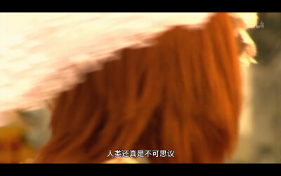 下妻物语