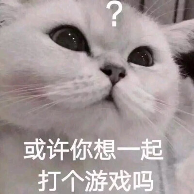 表情包