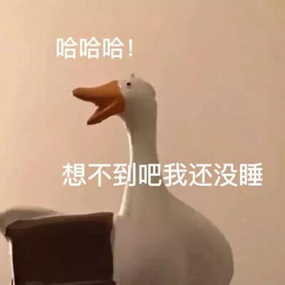 沙雕表情包