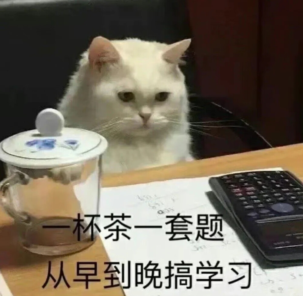 表情