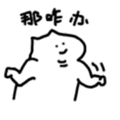 什么猫表情包