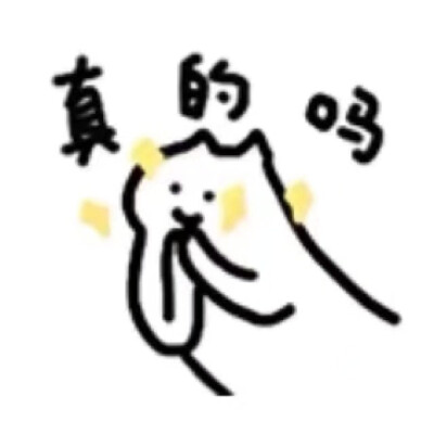 什么猫表情包