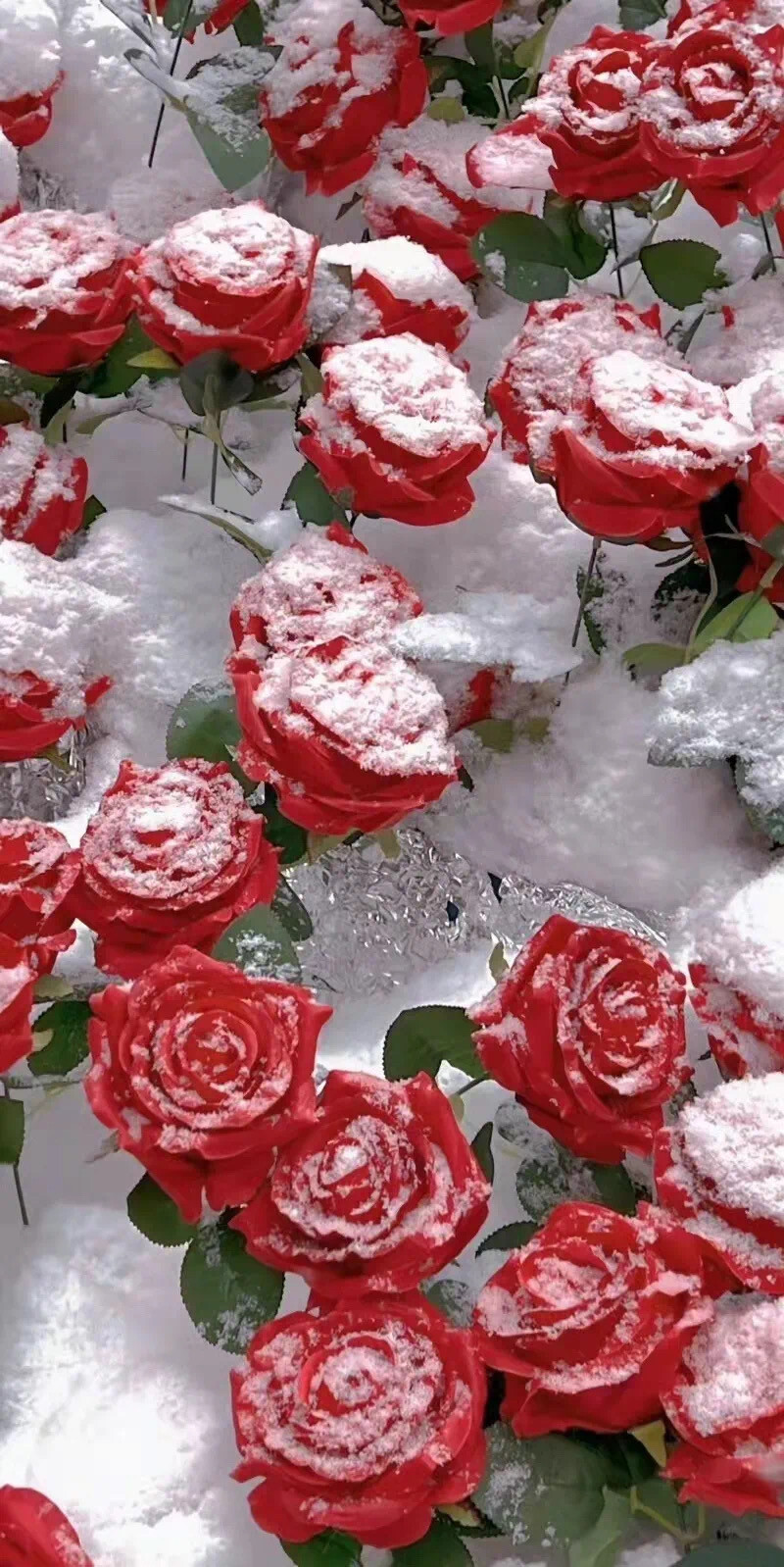 不需要告诉全世界，你是什么样的人，想要了解你的人，自然会懂。
