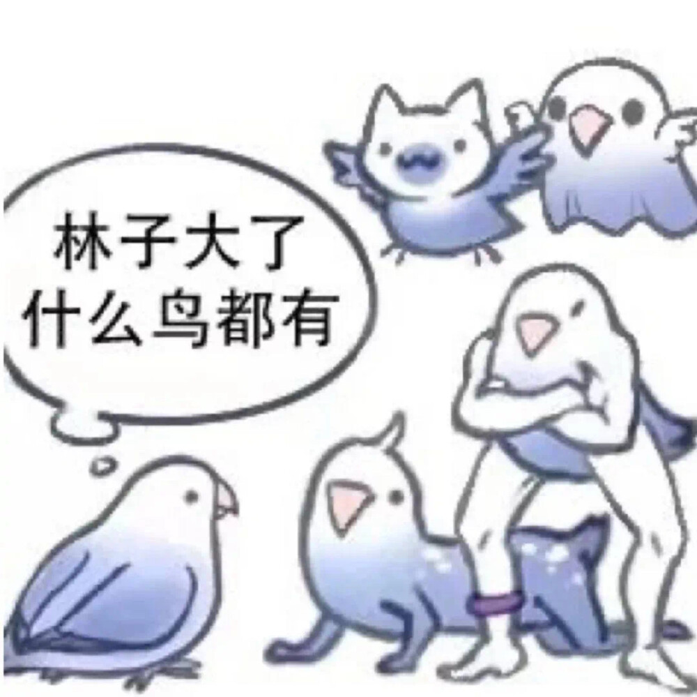 表情包