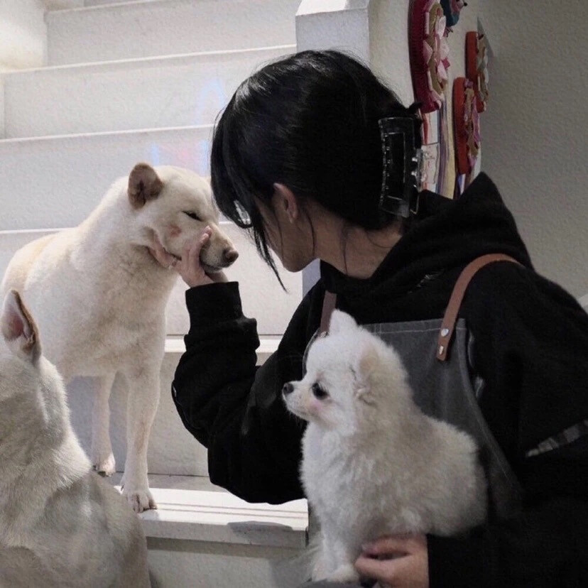 不露脸女头 氛围感 高级