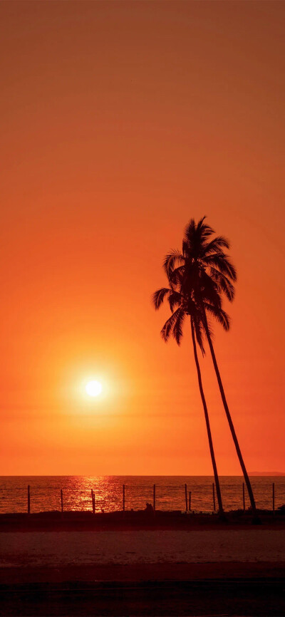 唯美城市风景壁纸