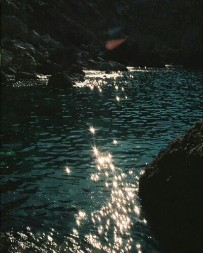 掉进海里的星星 ​ ​​​