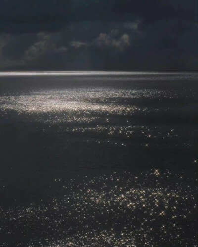 掉进海里的星星 ​ ​​​