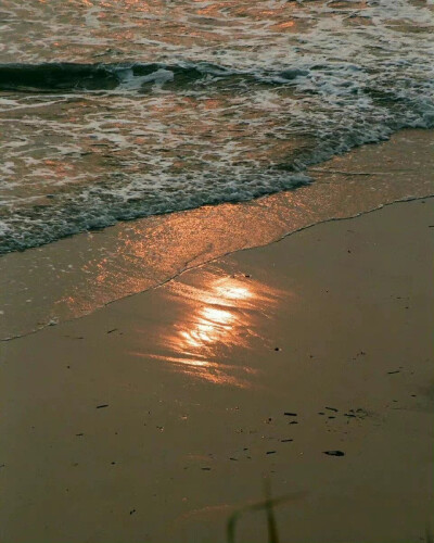 掉进海里的星星 ​ ​​​