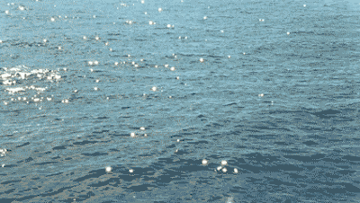 掉进海里的星星 ​ ​​​