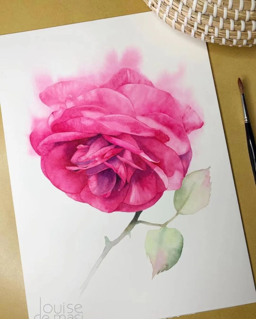  louisedemasi 路易斯·德马西 澳大利亚水彩艺术家