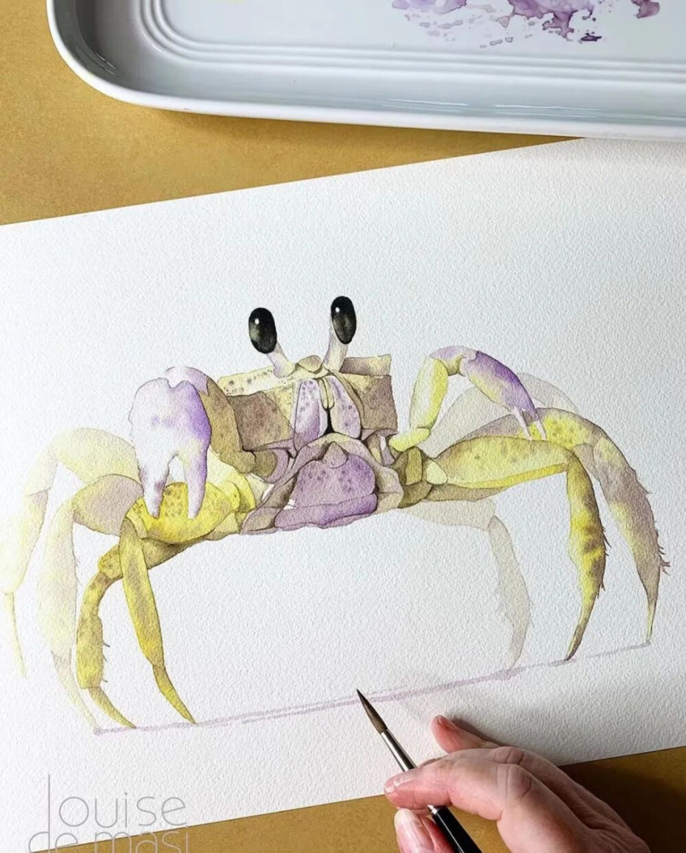  louisedemasi 路易斯·德马西 澳大利亚水彩艺术家