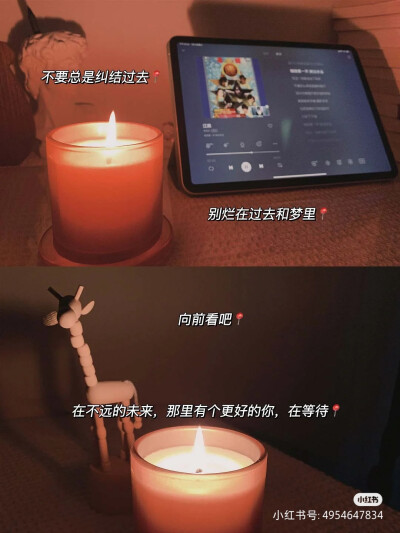 美就犹如智慧一样，喜欢那些孤独的崇拜者 ——《夜莺与玫瑰》 奥斯卡·王尔德