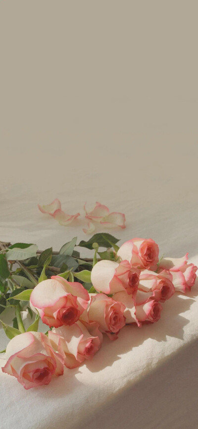 若什么都不舍弃，便什么都不能获取。