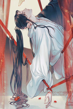 《二哈和他的白猫师尊》