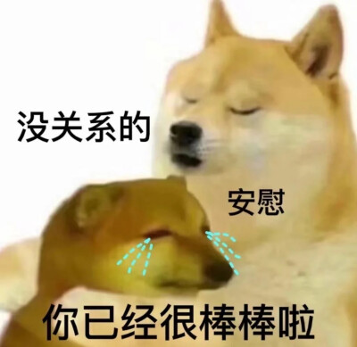 表情