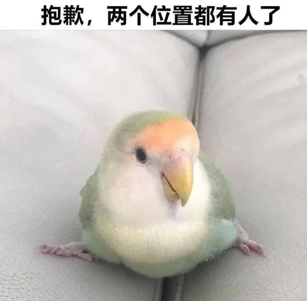 表情