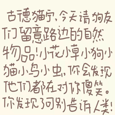 小狗文学