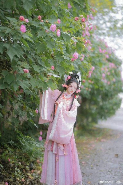 芙蓉
“云袂飘摇翠佩环，仙姿绰约紫霞冠。
虽然谪在西风里，合作人间小牡丹。”
出境：林秋奈
摄影：@桑葚不甜o
妆造：乌冬
#汉服摄影##成都约拍##芙蓉花# ​