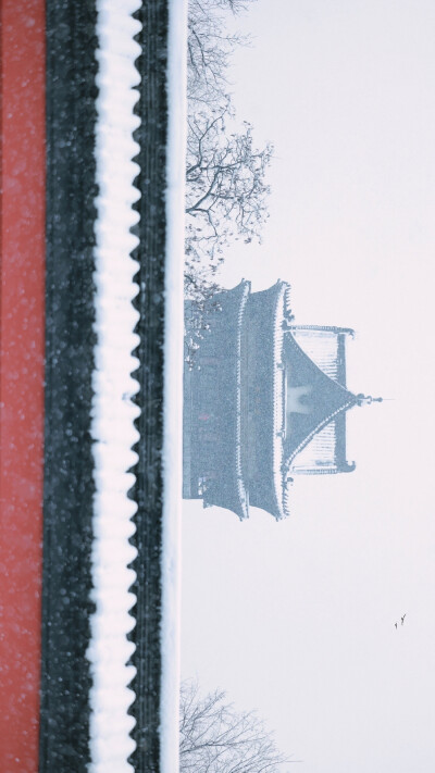 一下雪，合肥就变成了庐州
摄影@追光小肥肉
#壁纸##手机壁纸##初雪# ​​​