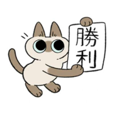 暹罗猫表情包