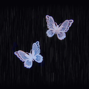 不芙不行₍˄·͈༝·͈˄*₎◞ ̑̑