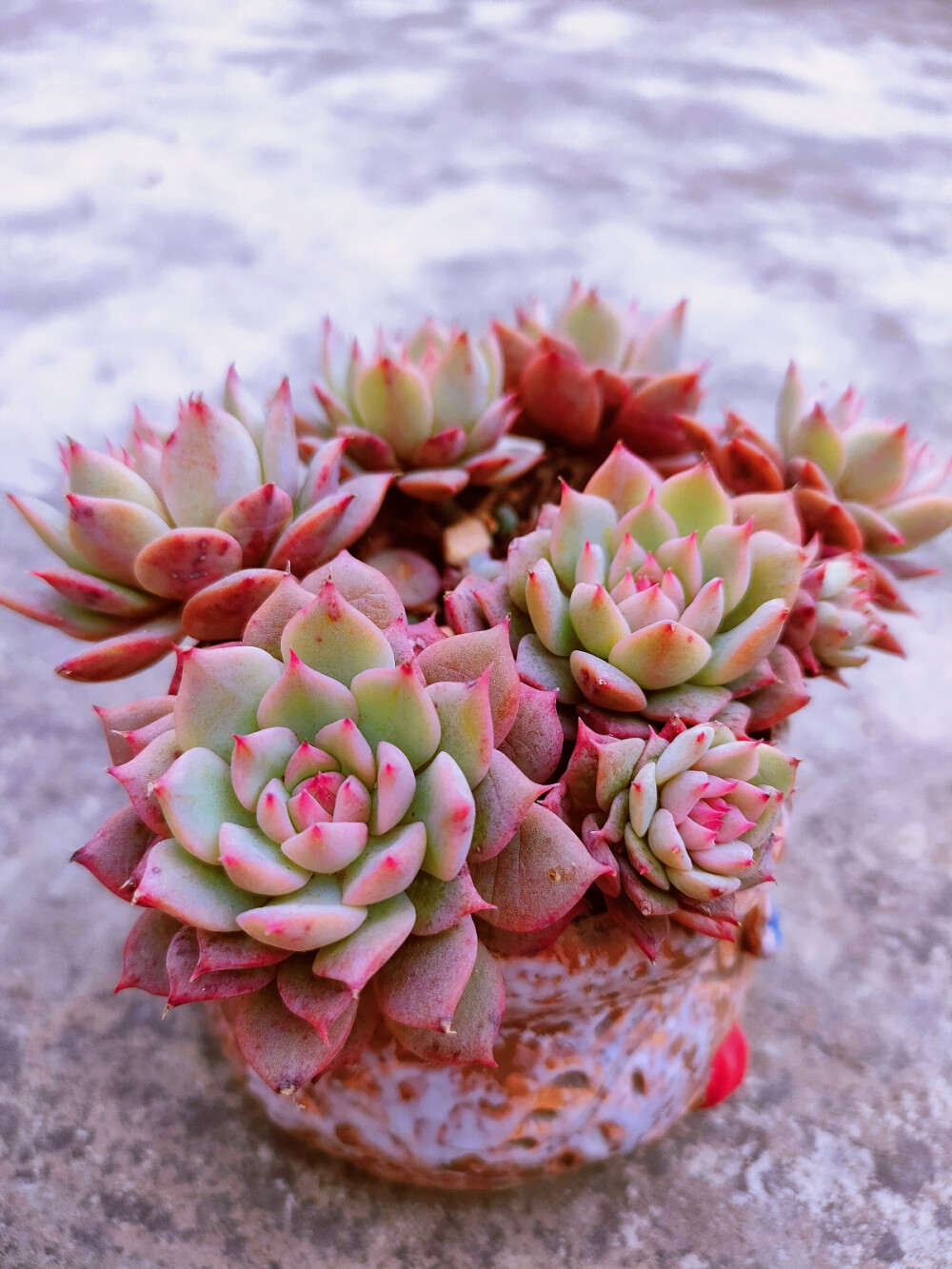 期待一场春雨……