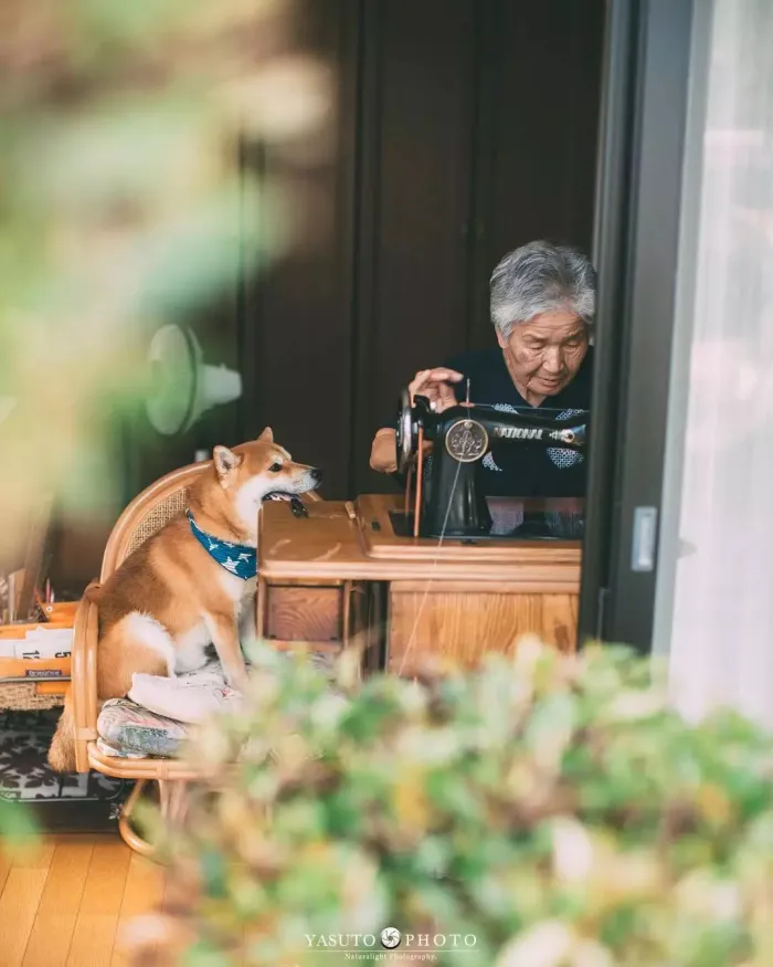 日本摄影学家