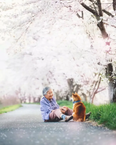 日本摄影学家