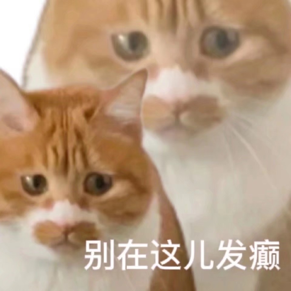 猫狗