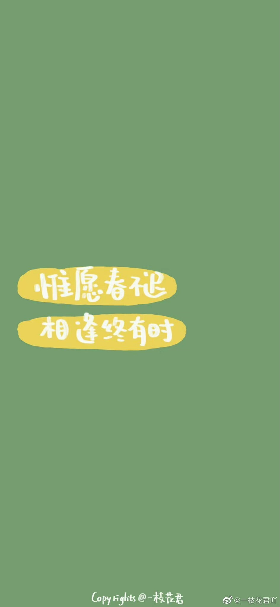 文字文案壁纸
来源：一枝花君吖