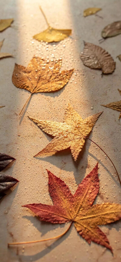 愿你步步生花，一路繁华。