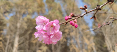 山海皆可平，难平是人心