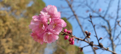 山海皆可平，难平是人心