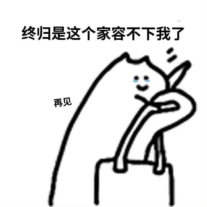 什么猫